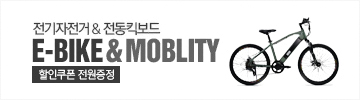 전기자전거
