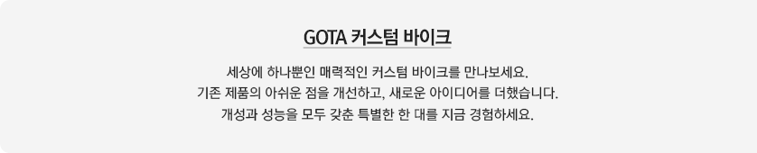 커스텀 바이크 안내