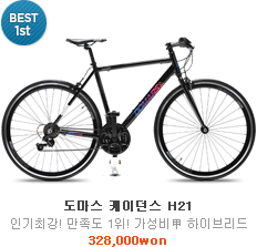 best1 케이던스H21