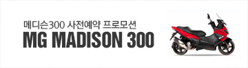메디슨300